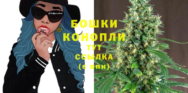хмурый Касимов